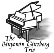 The Binyomin Ginzberg Trio logo