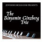 The Binyomin Ginzberg Trio album cover